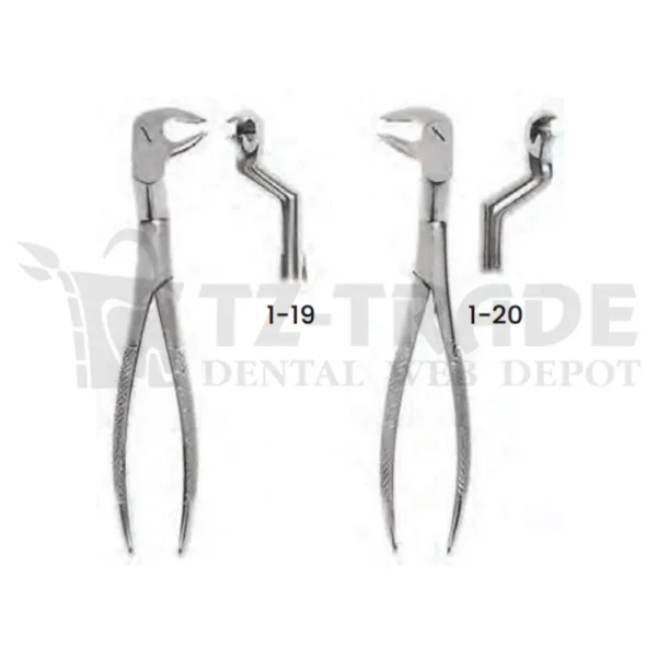 Extracting Forceps 1-19/1-20